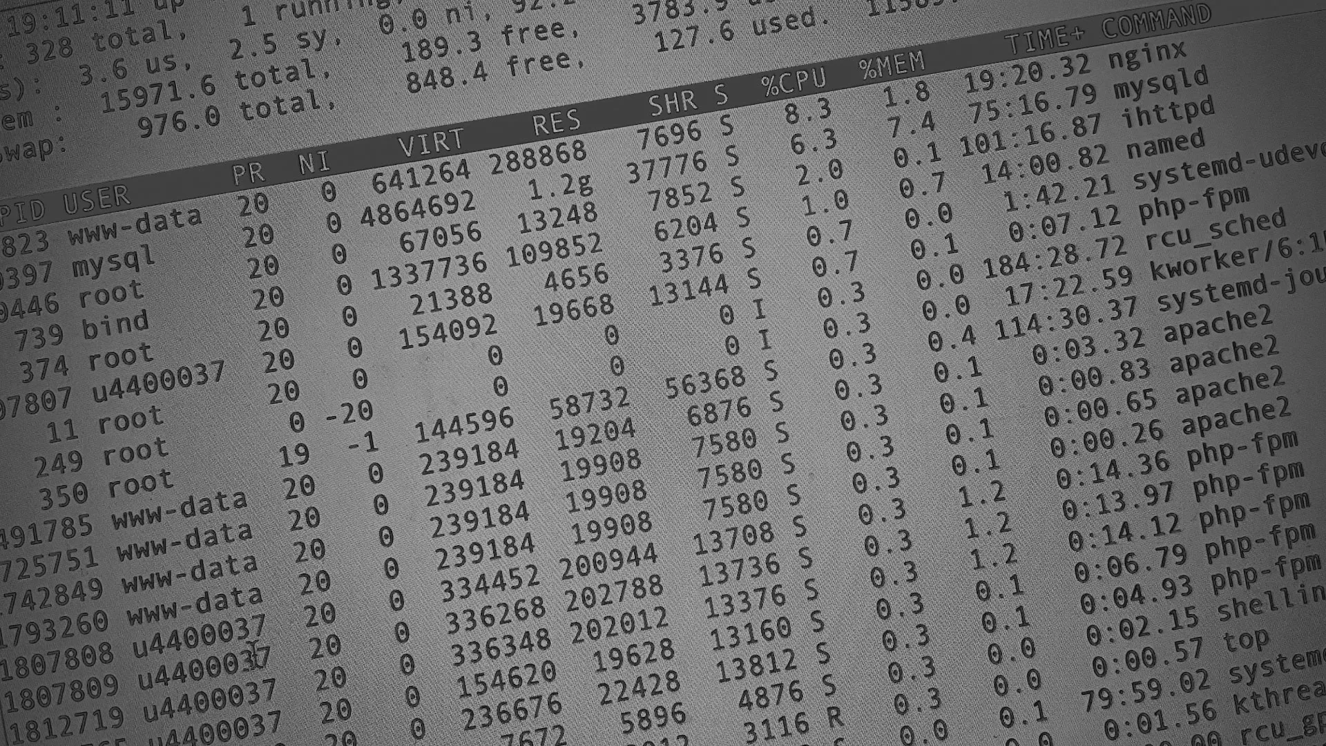 Настройка сервера в Бабаево